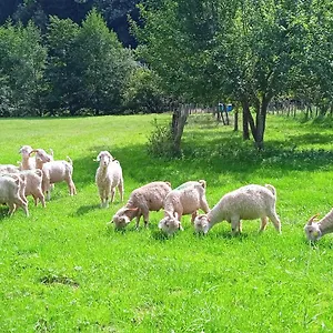  Gasthof Au Mohair Des Alpy